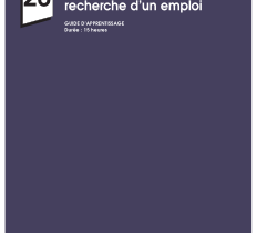 301-981 - Utilisation de moyens de recherche d’un emploi (28) (CEMEQ)