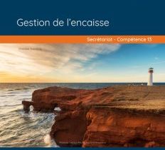 460-623 - Gestion de l'encaisse (LOGITELL)