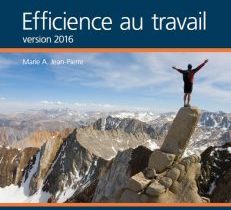 461-165 - Efficience au travail (LOGITELL))