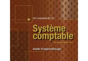 461-213 - Système comptable (SOFAD) (numérique seulement)