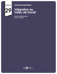 301-996 - Intégration au milieu de travail (29) (CEMEQ)